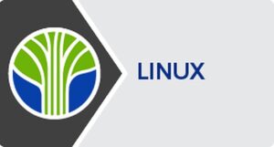 linux